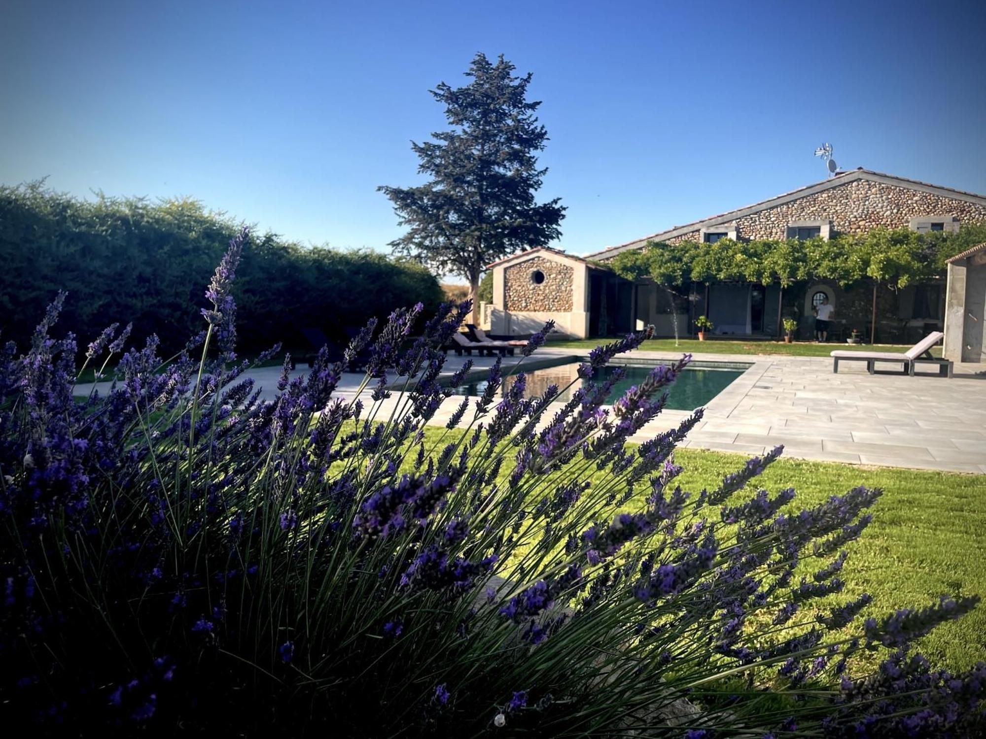Hotel Les Mazets Du Pas à Gréoux-les-Bains Extérieur photo